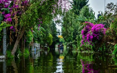 Panoramic view of the canals in Xochimilco