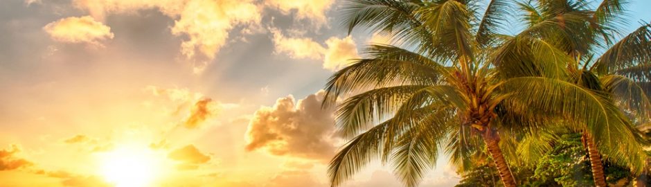 Mejores playas del Caribe Mexicano