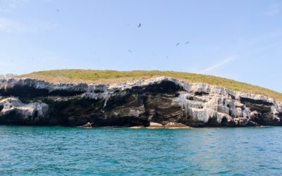 Cliff of Isabel Island, Nayarit