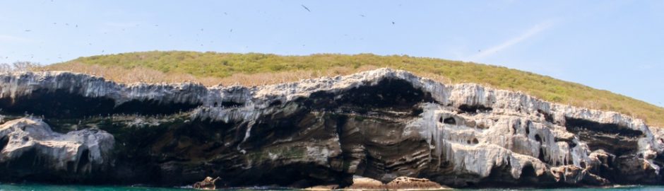 Cliff of Isabel Island, Nayarit