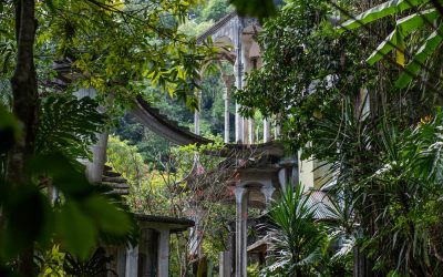 Xilitla and its Surrealist Garden
